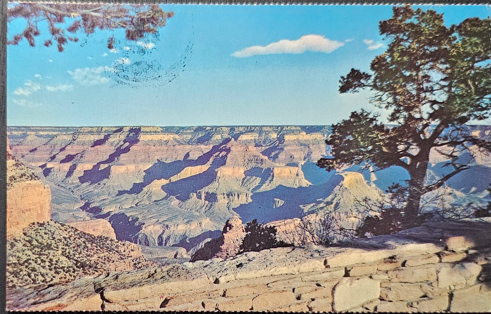 (image for) postcard USA - AZ - Arizona #0019
